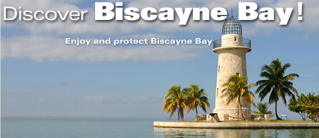 Discover Biscayne Bay!